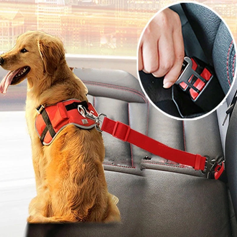 Adjustable Pet Car Seat Belt/Harness with Lead Clip for Dogs & Cats